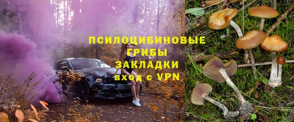 твердый Вязьма