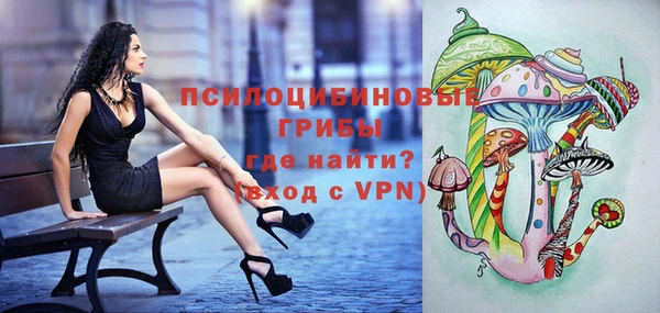 соль курить ск Верхний Тагил