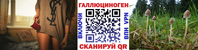 сколько стоит  Завитинск  Галлюциногенные грибы Magic Shrooms 